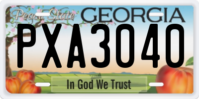 GA license plate PXA3040