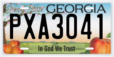 GA license plate PXA3041