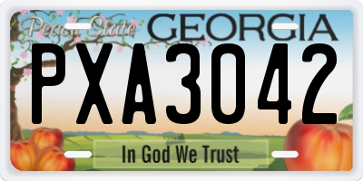 GA license plate PXA3042