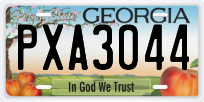 GA license plate PXA3044