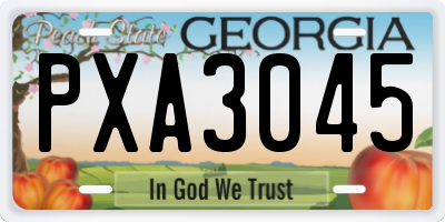 GA license plate PXA3045
