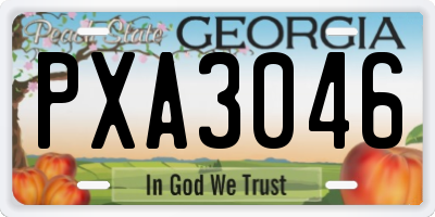 GA license plate PXA3046