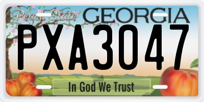 GA license plate PXA3047