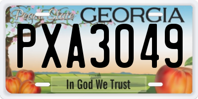 GA license plate PXA3049