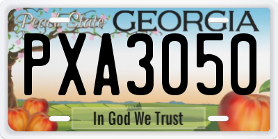 GA license plate PXA3050