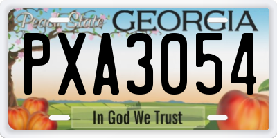GA license plate PXA3054