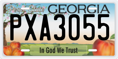 GA license plate PXA3055