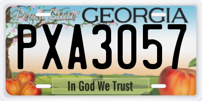 GA license plate PXA3057