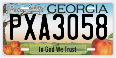 GA license plate PXA3058