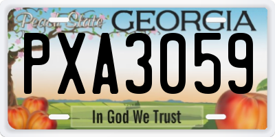 GA license plate PXA3059
