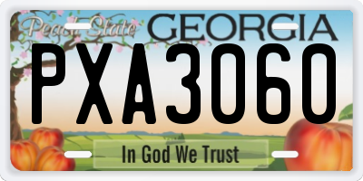 GA license plate PXA3060