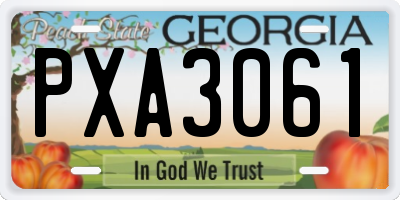 GA license plate PXA3061