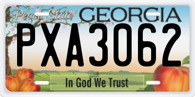 GA license plate PXA3062