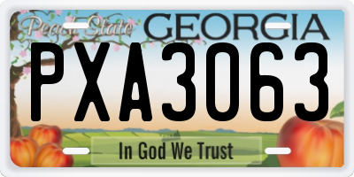 GA license plate PXA3063