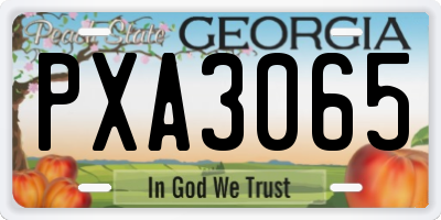 GA license plate PXA3065