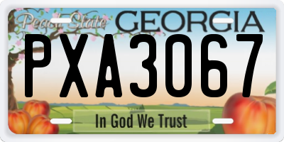 GA license plate PXA3067