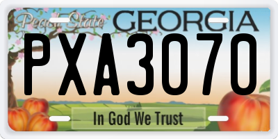 GA license plate PXA3070