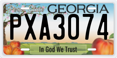 GA license plate PXA3074