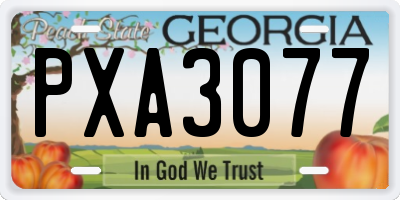 GA license plate PXA3077