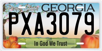 GA license plate PXA3079