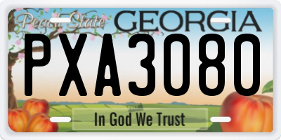 GA license plate PXA3080