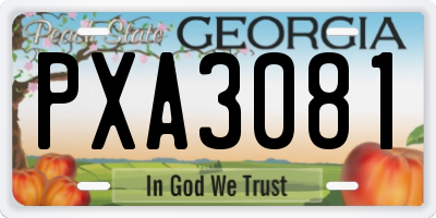 GA license plate PXA3081