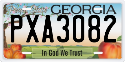 GA license plate PXA3082