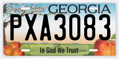 GA license plate PXA3083