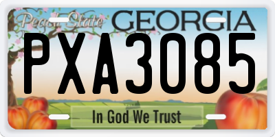 GA license plate PXA3085