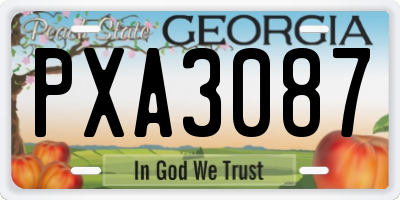 GA license plate PXA3087