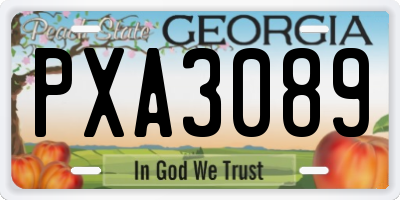 GA license plate PXA3089