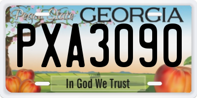 GA license plate PXA3090