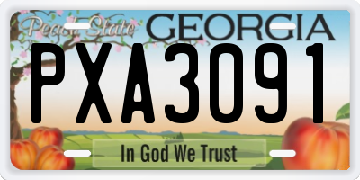GA license plate PXA3091