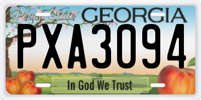 GA license plate PXA3094
