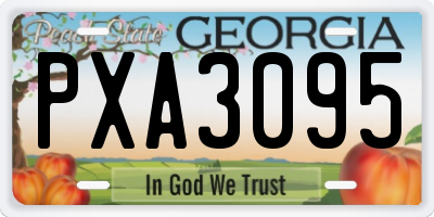GA license plate PXA3095