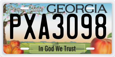 GA license plate PXA3098