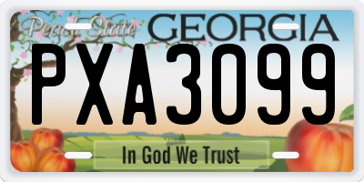 GA license plate PXA3099