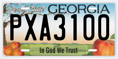 GA license plate PXA3100