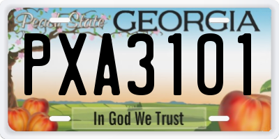 GA license plate PXA3101