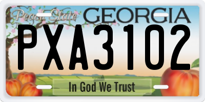 GA license plate PXA3102