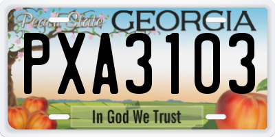 GA license plate PXA3103
