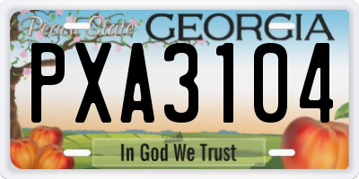 GA license plate PXA3104