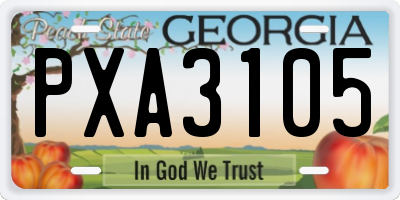 GA license plate PXA3105