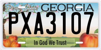 GA license plate PXA3107