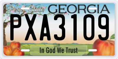 GA license plate PXA3109