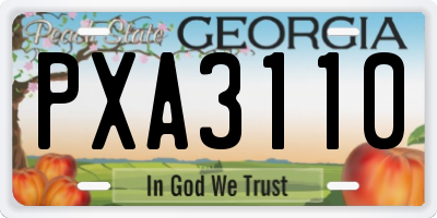 GA license plate PXA3110