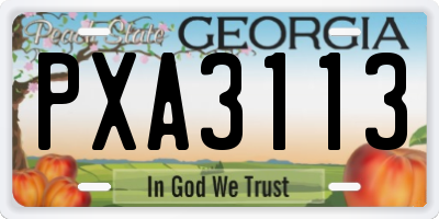 GA license plate PXA3113