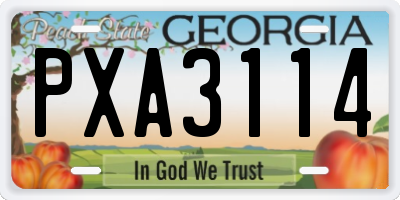 GA license plate PXA3114