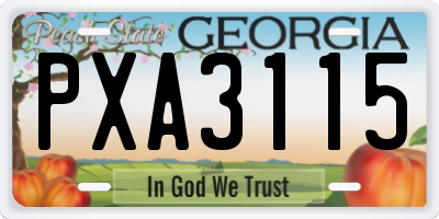 GA license plate PXA3115