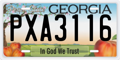 GA license plate PXA3116